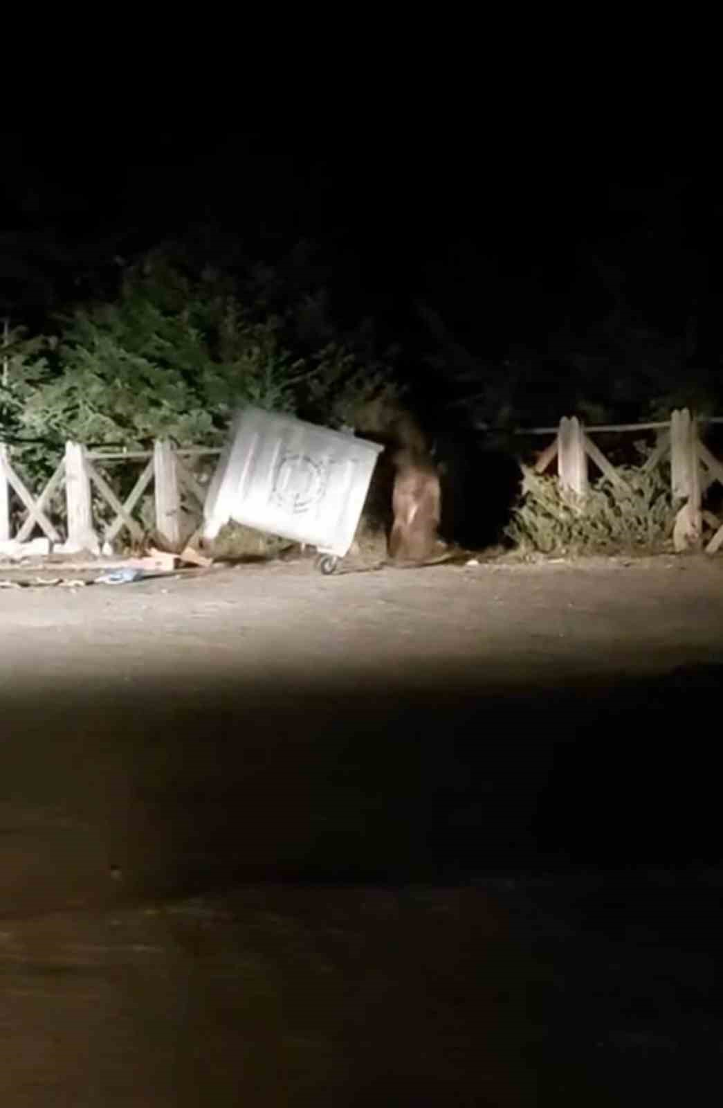 ULUDAĞDA AÇ KALAN AYI ÇÖPTE YEMEK ARADI