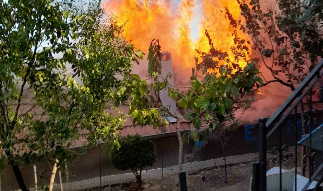 Uludağ’ın eteklerinde 2 ahşap ev alev alev yandı ULUDAĞ'IN ETEKLERİNDEKİ BİR MAHALLEDE YAN YANA 2 AHŞAP EVDE ÇIKAN