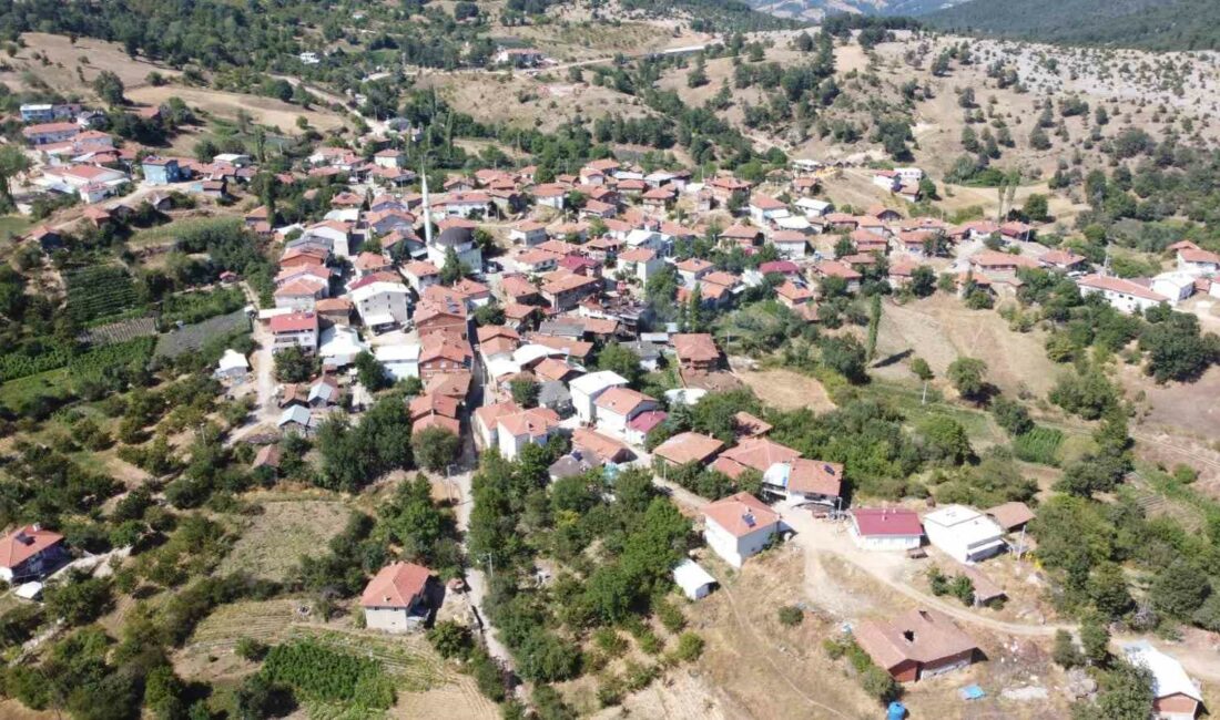 Yangın kulesi, köyün küle dönmesini engelledi BURSA'NIN DAĞ İLÇESİ KELES'TE, EVİN ÇATISINI KÜLE ÇEVİREN YANGIN KORKU