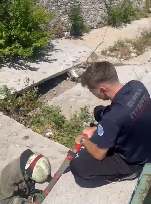 Yaralı martıyı iftaiye ekipleri kurtardı BURSA'DA KANADI KIRILAN VE DEREDE MAHSUR KALAN YARALI MARTIYI, İHBAR