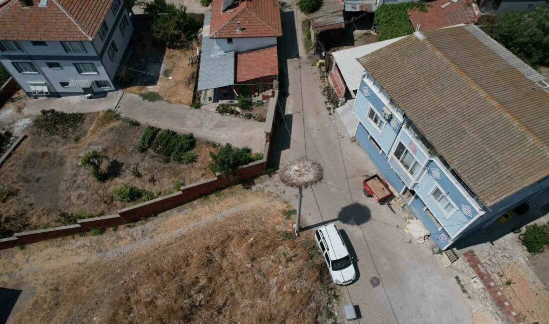 ’Yaren’ leylek Adem amcaya veda etti BURSA'DA 13 YILDIR BALIKÇI ADEM YILMAZ İLE KURDUĞU DOSTLUKLA MİLYONLARIN