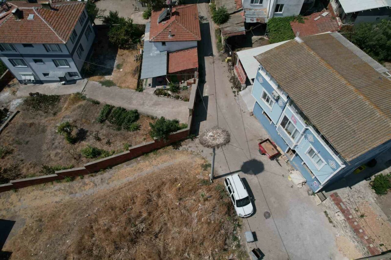 BURSA'DA 13 YILDIR BALIKÇI ADEM YILMAZ İLE KURDUĞU DOSTLUKLA MİLYONLARIN