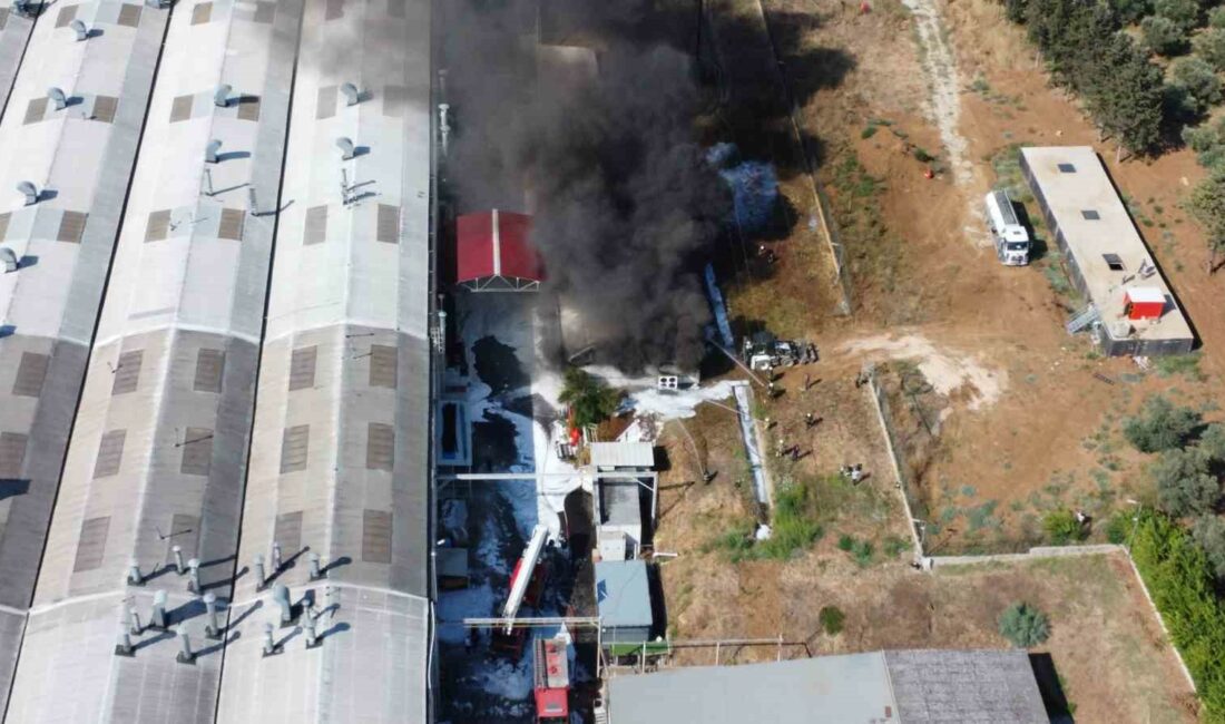 Yat fabrikasındaki yangın 4,5 saat sonra kontrol altına alındı YAT FABRİKASINDAKİ YANGIN 4,5 SAAT SONRA KONTROL ALTINA ALINDI