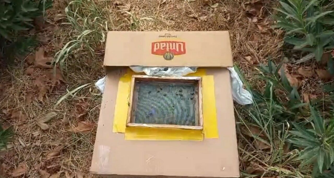 BURSA'DA SABAH SPORU İÇİN MESİRE ALANINDA YÜRÜYÜŞ YAPAN VATANDAŞ, ÇINAR