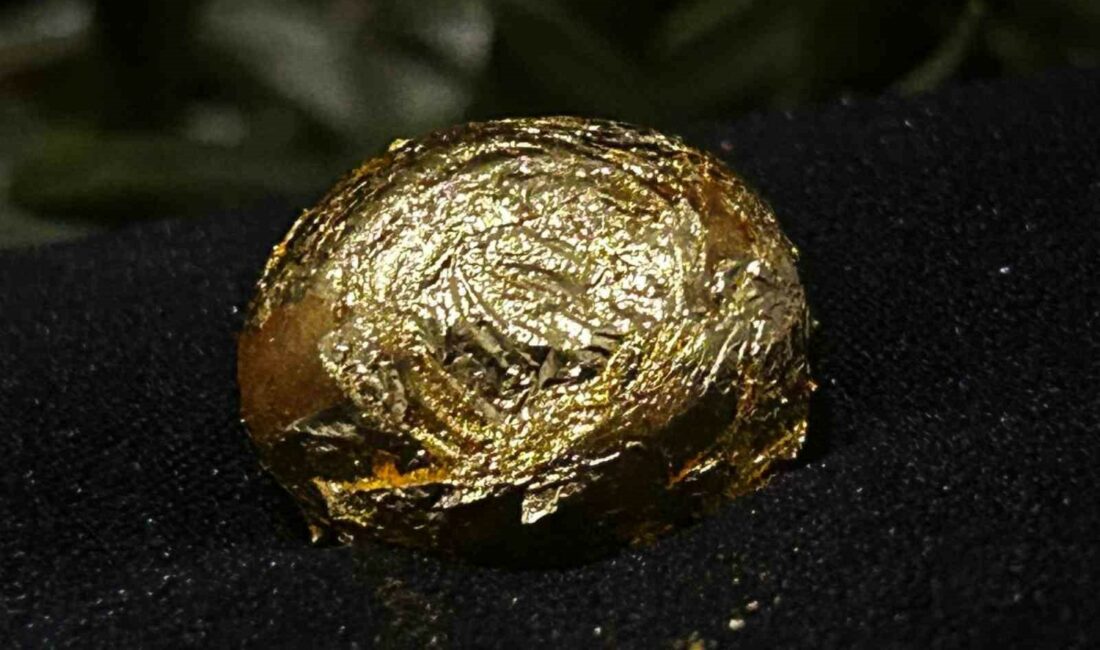 Altın zeytin festivalde görücüye çıktı ALTIN KAPLAMALI ZEYTİN, 31. ULUSLARARASI GEMLİK ZEYTİNİ FESTİVALİ'NDE ALANI DOLDURAN