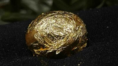 ALTIN KAPLAMALI ZEYTİN, 31. ULUSLARARASI GEMLİK ZEYTİNİ FESTİVALİ'NDE ALANI DOLDURAN