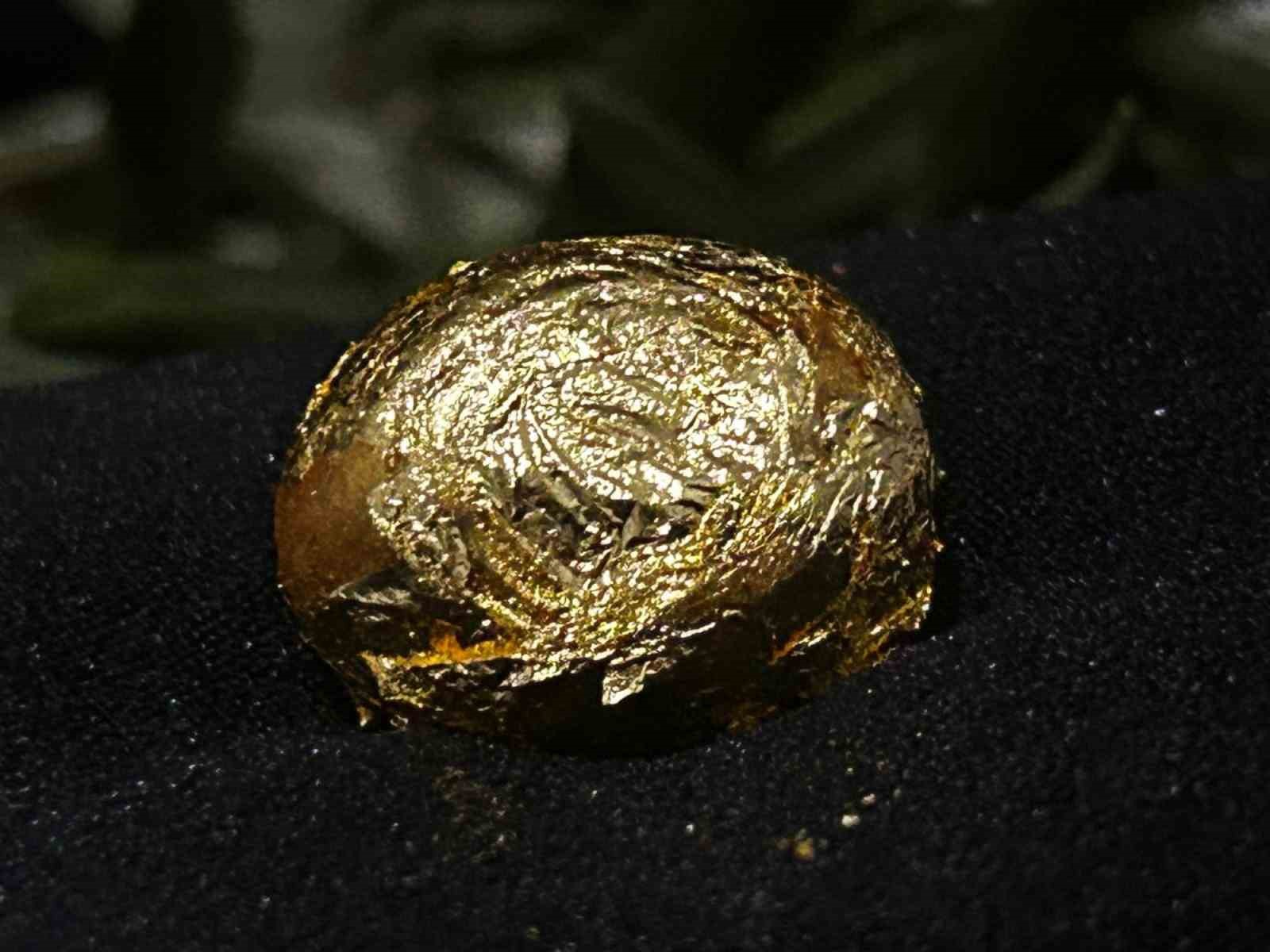 ALTIN KAPLAMALI ZEYTİN, 31. ULUSLARARASI GEMLİK ZEYTİNİ FESTİVALİ'NDE ALANI DOLDURAN