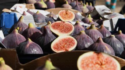 BURSA SİYAH İNCİRİ