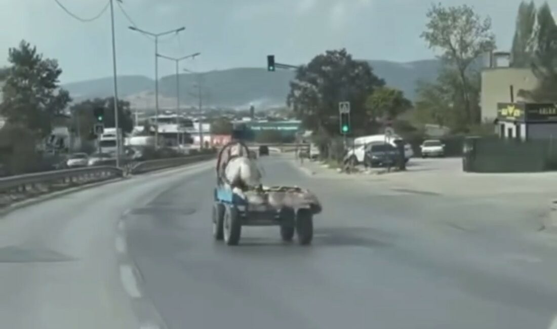 Başıboş at arabasının tehlikeli anları kamerada BURSA’DA SEYİR HALİNDEKİ BAŞIBOŞ AT ARABASI TEHLİKE SAÇTI. O ANLAR