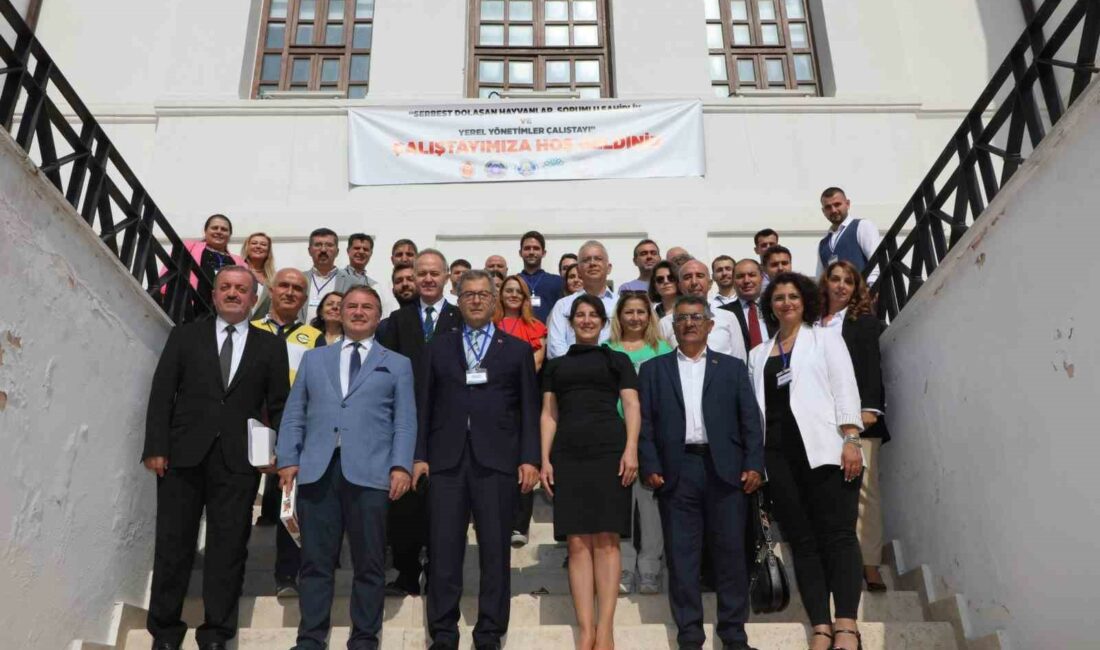 NİLÜFER BELEDİYE BAŞKANI ŞADİ ÖZDEMİR, "SOKAKTAKİ HAYVANLARI TOPLAMAYI DÜŞÜNMÜYORUZ VE