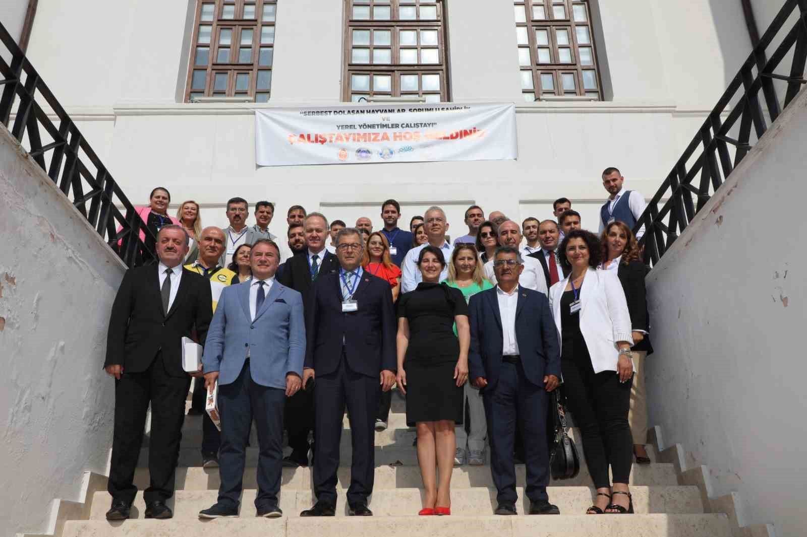 NİLÜFER BELEDİYE BAŞKANI ŞADİ ÖZDEMİR, "SOKAKTAKİ HAYVANLARI TOPLAMAYI DÜŞÜNMÜYORUZ VE