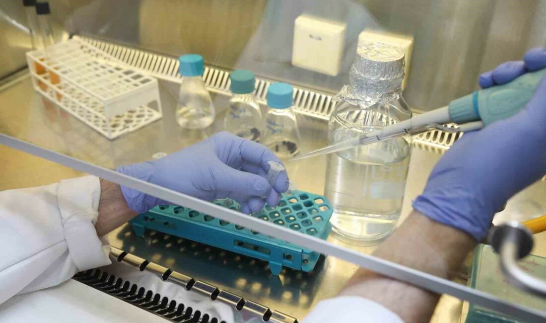 BTÜ’den tarımda verimliliği artıracak proje BURSA TEKNİK ÜNİVERSİTESİNİN (BTÜ), BİTKİ BESLEMESİNDE VERİM ARTIRICI OLARAK BİLİNEN