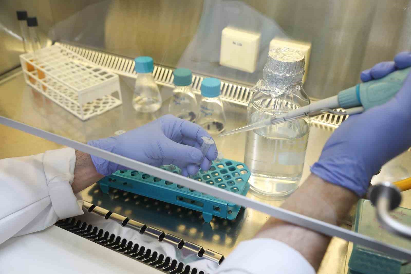 BURSA TEKNİK ÜNİVERSİTESİNİN (BTÜ), BİTKİ BESLEMESİNDE VERİM ARTIRICI OLARAK BİLİNEN