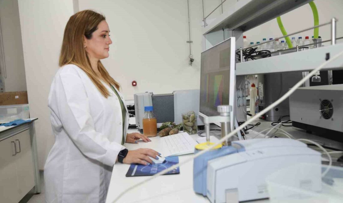 BTÜ MÜHENDİSLİK VE DOĞA BİLİMLERİ FAKÜLTESİ GIDA MÜHENDİSLİĞİ BÖLÜMÜ'NDEN DR.