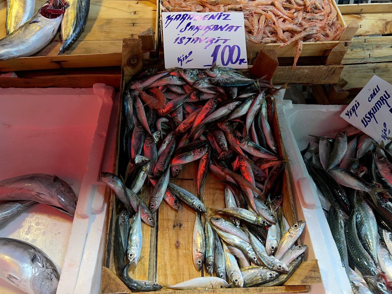 AV YASAĞININ BİTMESİYLE GÖZLER BALIK TEZGAHLARINA ÇEVRİLDİ. BALIK SEZONUN BAŞINDA