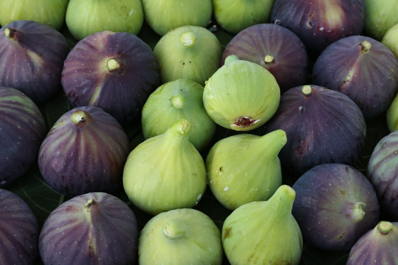 TARIM VE ORMAN BAKANI İBRAHİM YUMAKLI, BURSA SİYAH İNCİRİNİN TÜRKİYE