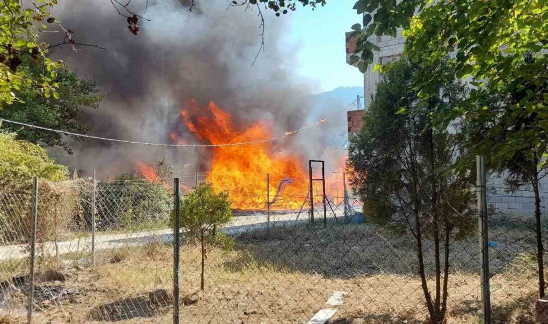 Bursa’da baraka yangını korkuttu BURSA’NIN GEMLİK İLÇESİNDE ÇIKAN ORMANLIK ALANDA BULUNAN BARAKA ALEV ALEV
