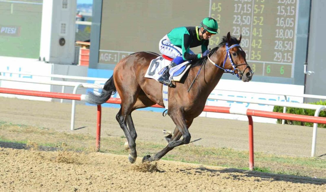 TÜRKİYE JOKEY KULÜBÜ (TJK) TARAFINDAN DÜZENLENEN BURSA BÜYÜKŞEHİR BELEDİYE BAŞKANLIĞI