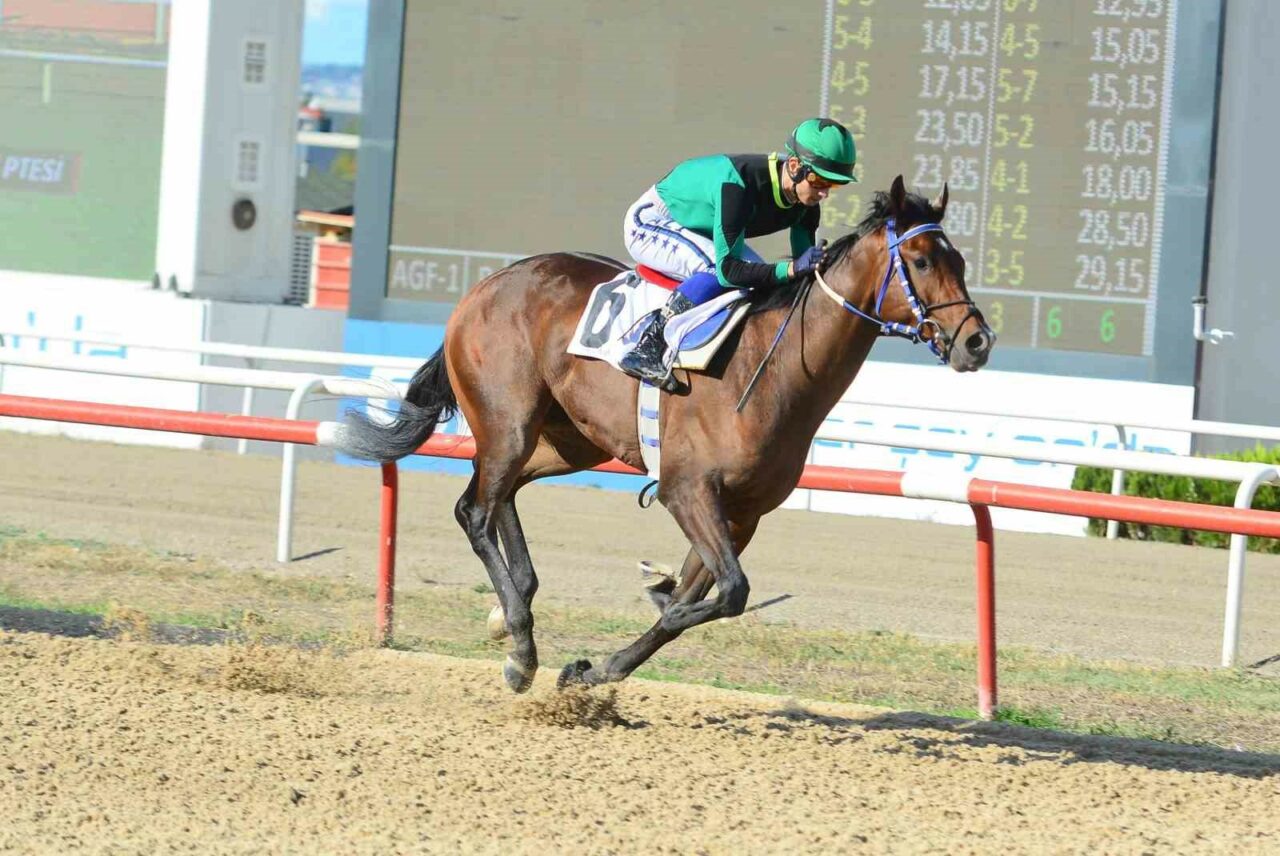 TÜRKİYE JOKEY KULÜBÜ (TJK) TARAFINDAN DÜZENLENEN BURSA BÜYÜKŞEHİR BELEDİYE BAŞKANLIĞI