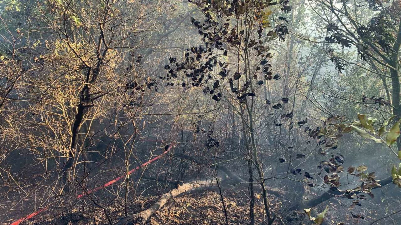 BURSA'NIN MUSTAFAKEMALPAŞA İLÇESİ SÖĞÜTALAN MEVKİSİNDE ÇIKAN ORMAN YANGINI KONTROL ALTINA