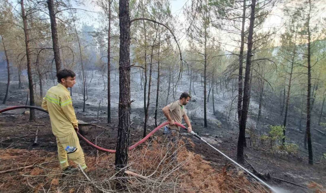 Bursa’da çıkan orman yangını kontrol altına alındı BURSA-KÜTAHYA-BALIKESİR SINIRLARI ARASINDA BULUNAN ORMANLIK ALANDA ÇIKAN YANGIN, EKİPLERİN MÜDAHALESİYLE