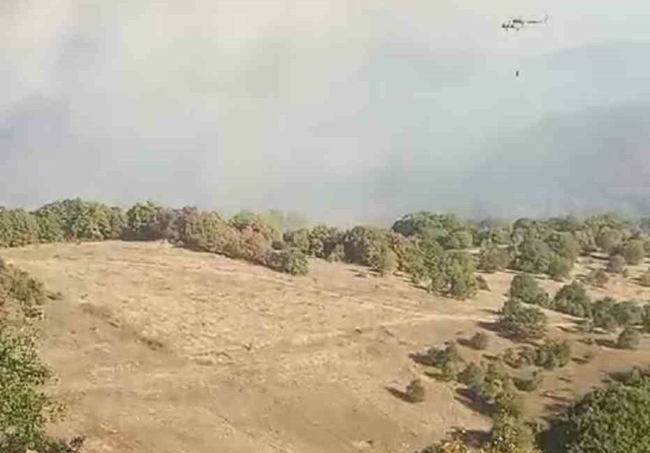 Bursa’da korkutan orman yangını BURSA'NIN İZNİK İLÇESİ YÖRÜKLER MEVKİİNDE BULUNAN ORMANLIK ALANDA YANGIN ÇIKTI.