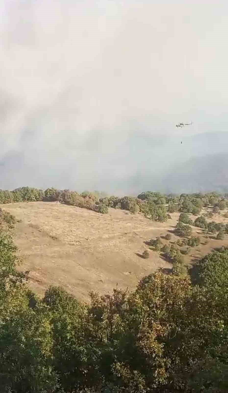 BURSA'NIN İZNİK İLÇESİ YÖRÜKLER MEVKİİNDE BULUNAN ORMANLIK ALANDA YANGIN ÇIKTI.