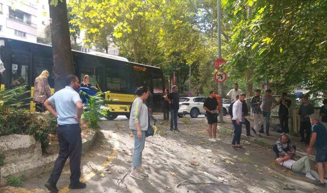 Bursa’da otobüs kazasında can pazarı…Belediye otobüsü ağaca çarptı, yolcu camdan fırladı BURSA'DA CAN PAZARI GİBİ KAZA : BELEDİYE OTOBÜSÜ AĞACA ÇARPTI,