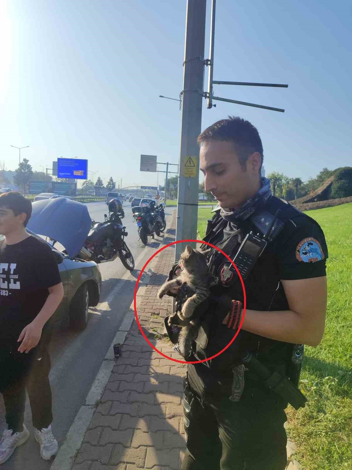 BURSA'DA TRAFİĞİ BİRBİRİNE KATAN VE 4 ARACA GİREREK KORKAN YAVRU