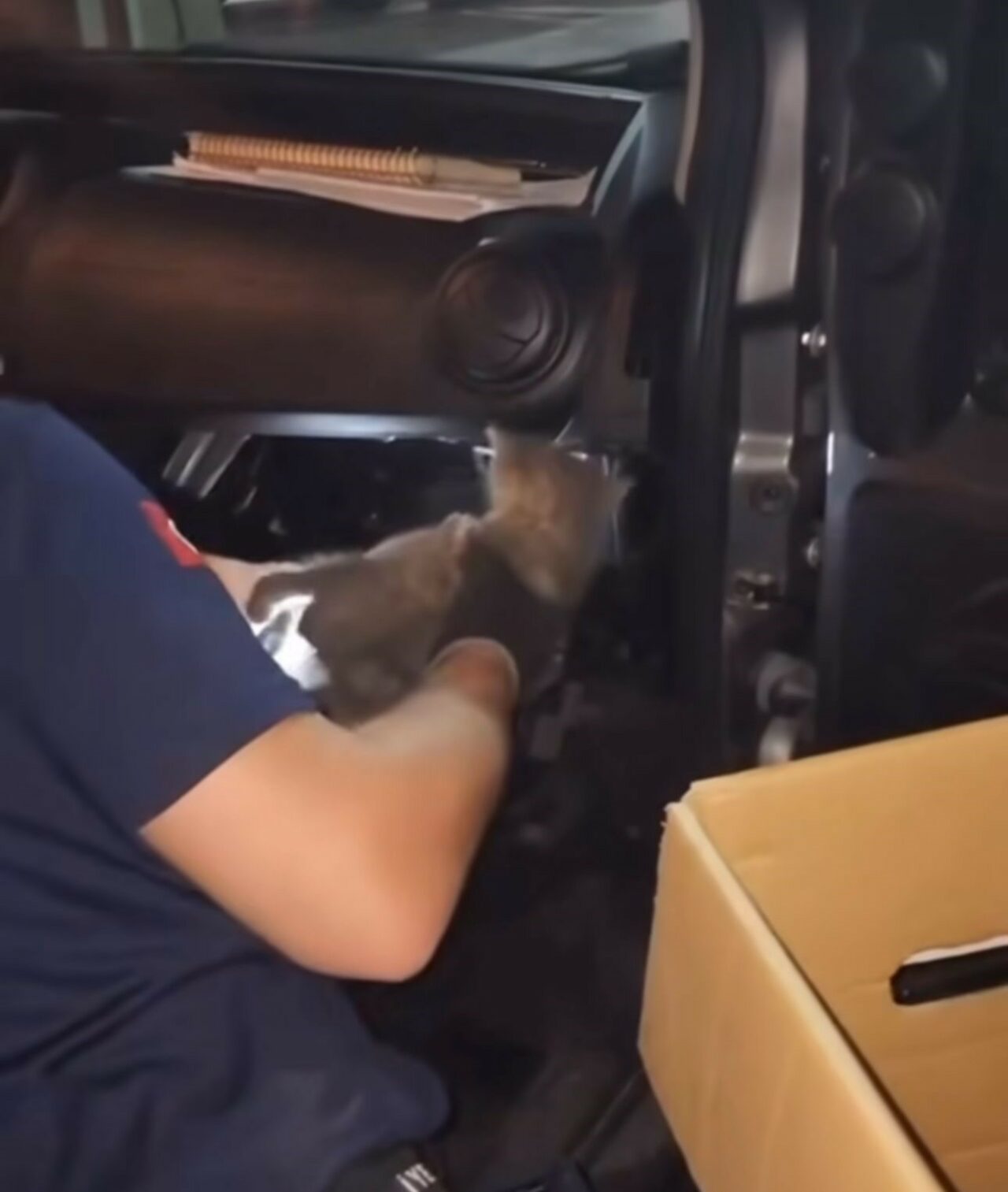 BURSA'DA İTFAİYE EKİPLERİ ARACIN MOTOR KISMINA GİREN YAVRU KEDİYİ KURTARMAK