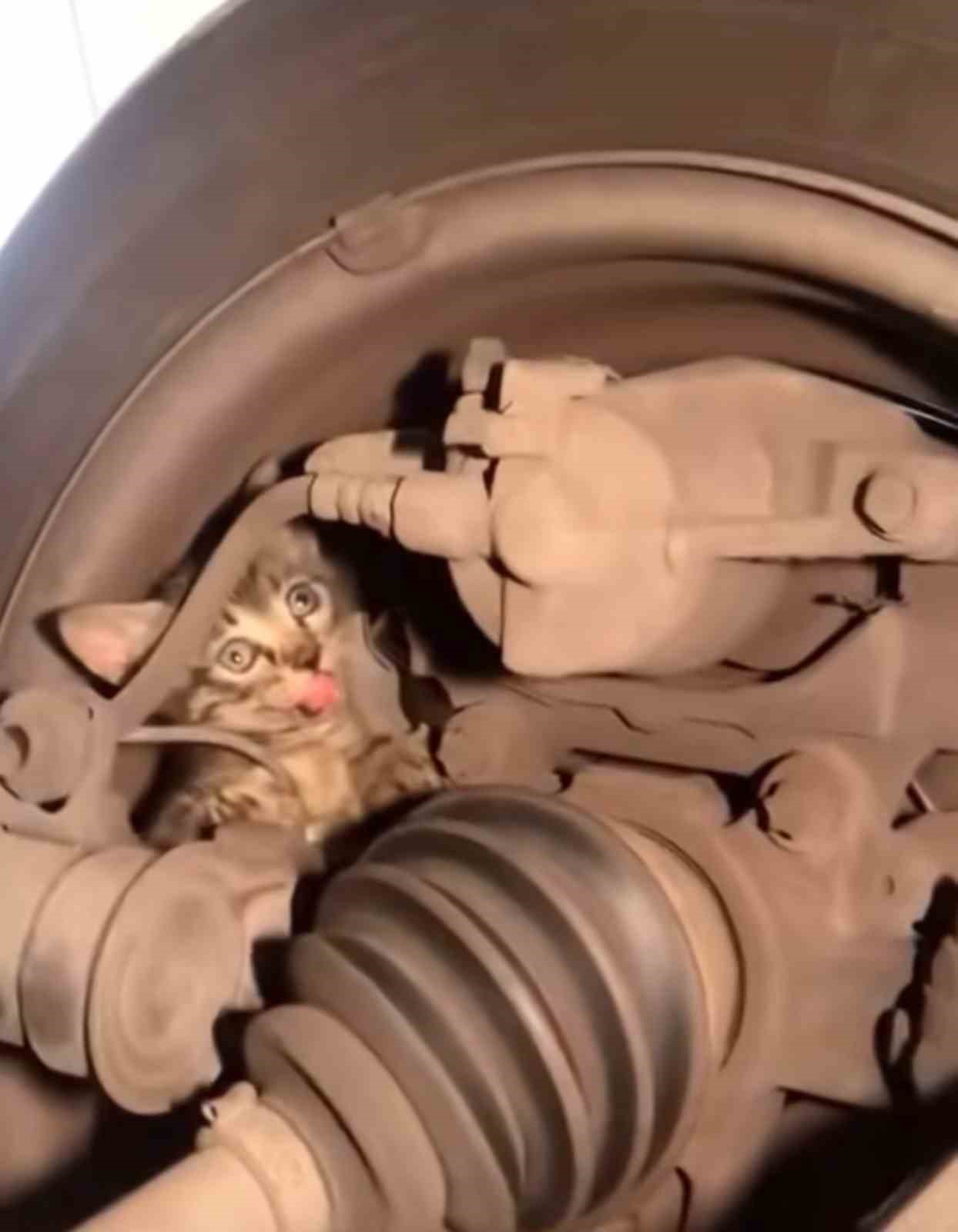 BURSA'DA LASTİĞİN İÇİNE GİREN YAVRU KEDİYİ ÇIKARTMAK İÇİN VATANDAŞLAR SEFERBER