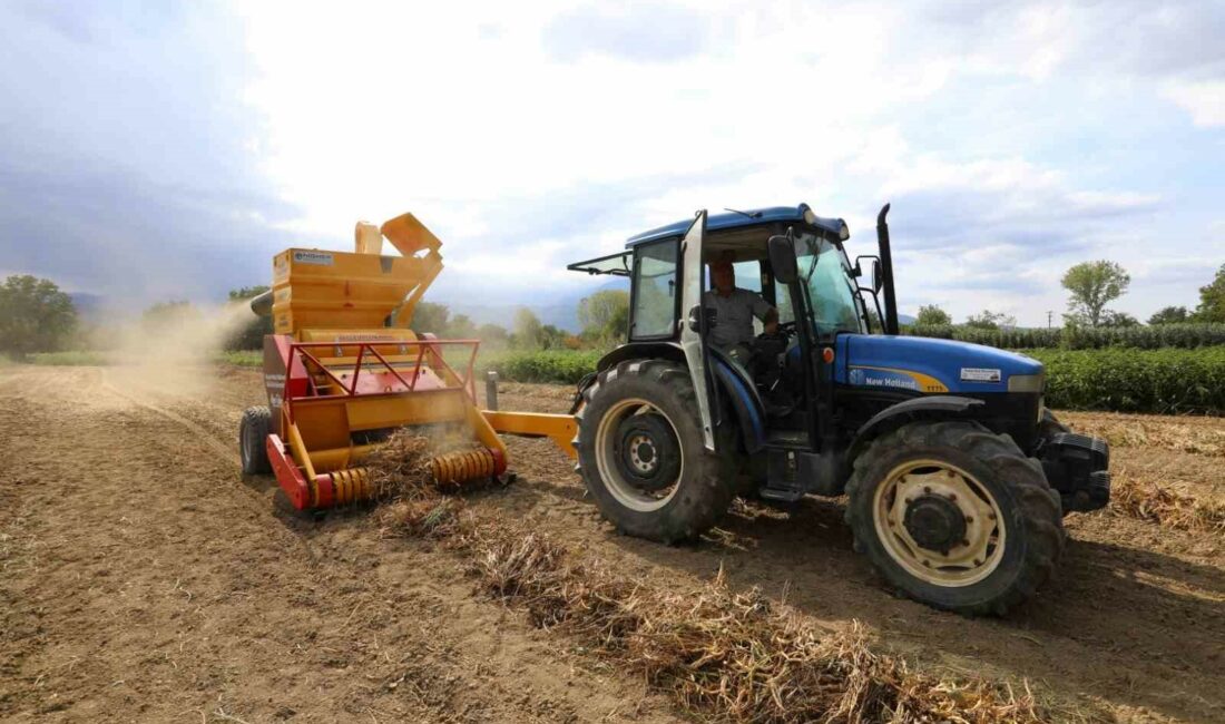 Cerrah Kuru Fasulyesinin hasadı başladı İNEGÖL’ÜN TESCİLLİ DEĞERİ CERRAH KURU FASULYESİNDE HASAT BAŞLADI. BU YIL