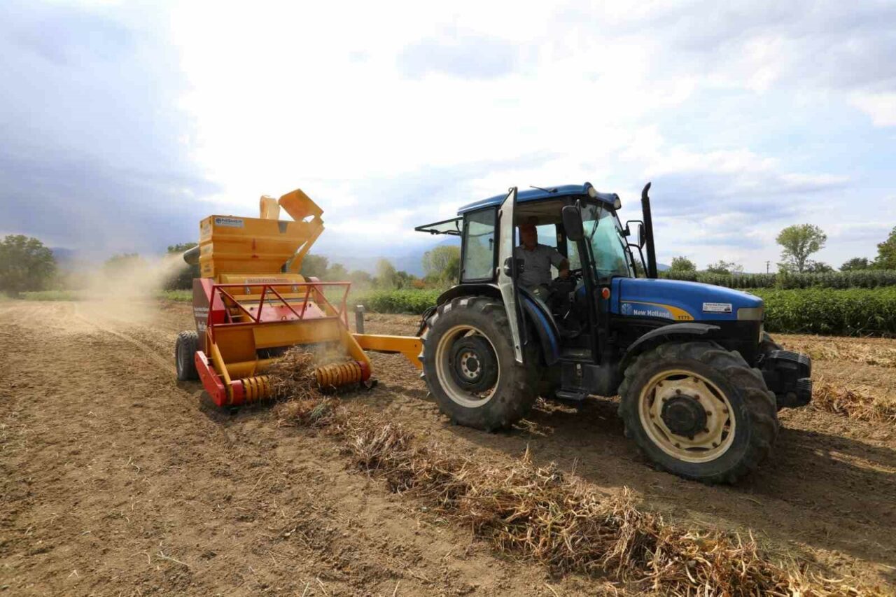 İNEGÖL’ÜN TESCİLLİ DEĞERİ CERRAH KURU FASULYESİNDE HASAT BAŞLADI. BU YIL