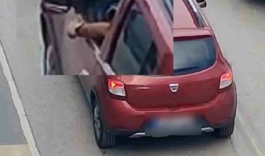 BURSA İNEGÖL BELEDİYESİ ÇEVREYİ KİRLETEN VATANDAŞLARI KENT KAMERALARINDAN TEKER TEKER