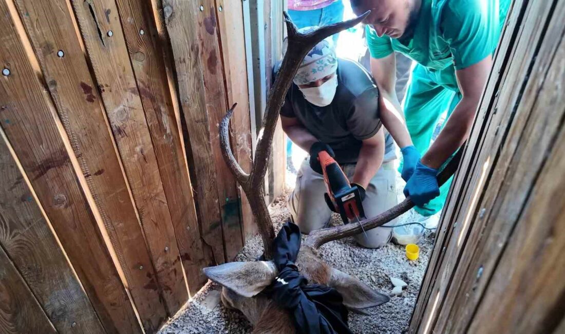 DOĞA KORUMA VE MİLLİ PARKLAR 2. BÖLGE BURSA ŞUBE MÜDÜRLÜĞÜ