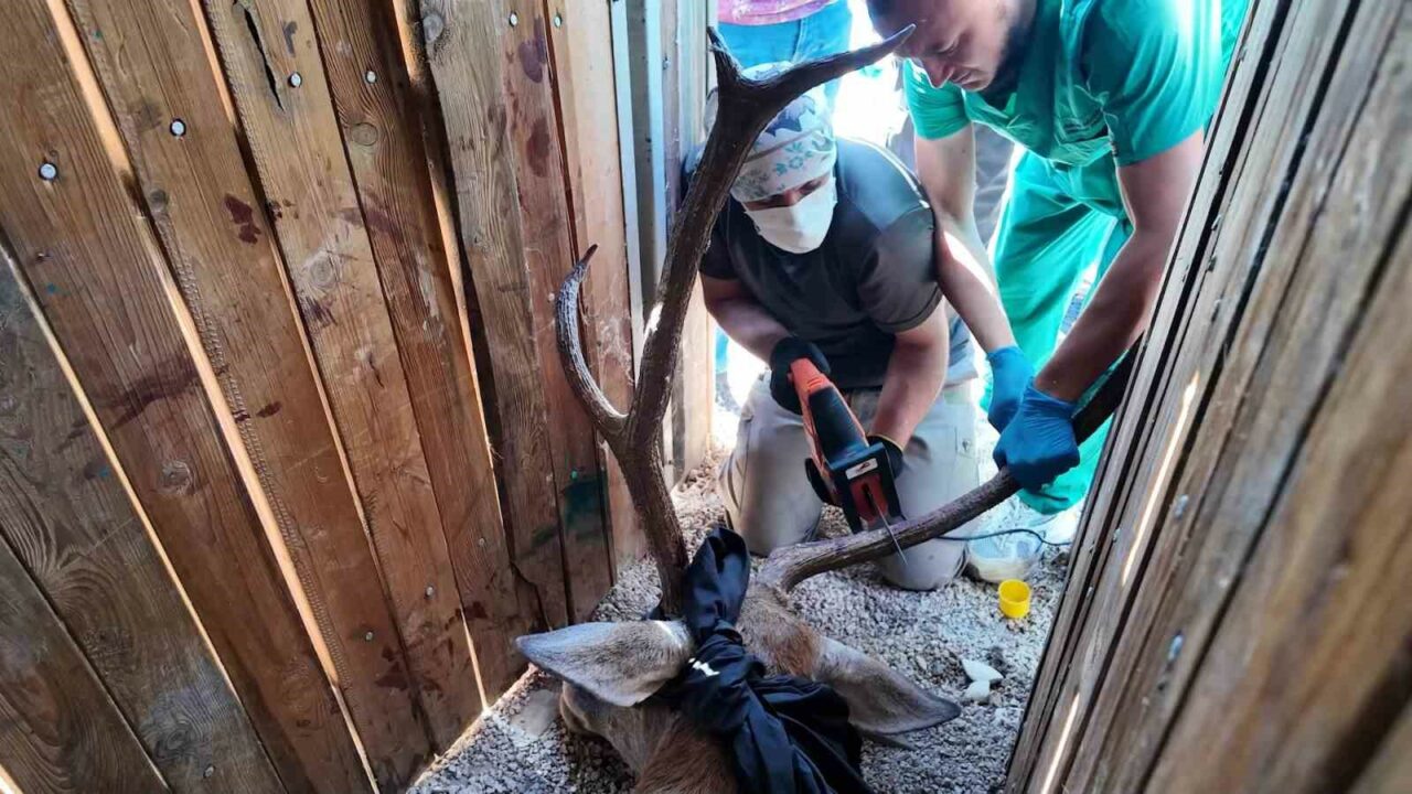 DOĞA KORUMA VE MİLLİ PARKLAR 2. BÖLGE BURSA ŞUBE MÜDÜRLÜĞÜ