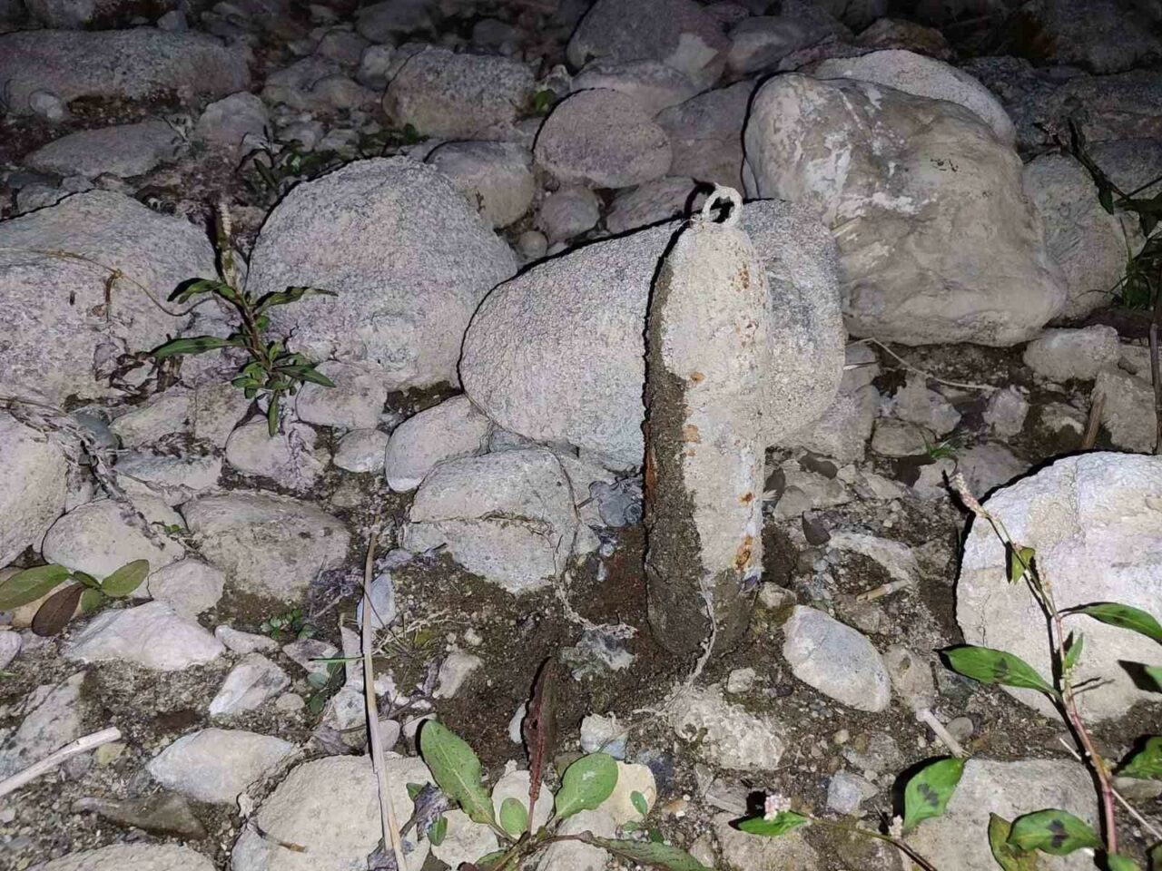 BURSA'NIN ORHANGAZİ İLÇESİNDE BİR VATANDAŞIN İZNİK GÖLÜ KIYISINDA YÜRÜRKEN BULDUĞU