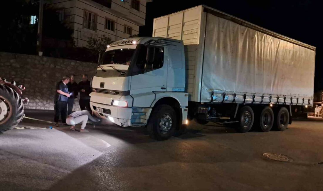 Kamyonun çarptığı 350 kiloluk domuz telef oldu BURSA'NIN İZNİK İLÇESİNDE, YOLA ANİDEN FIRLAYAN YAKLAŞIK 350 KİLOLUK DOMUZ,