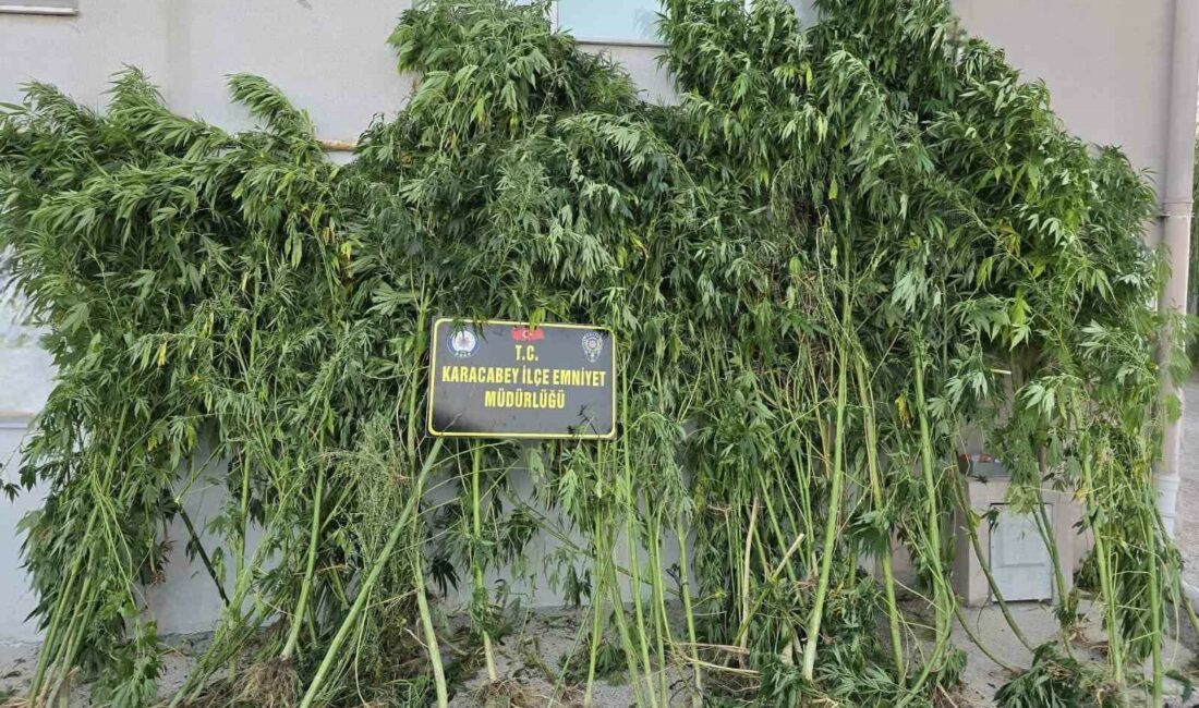 Karacabey’de uyuşturucu operasyonunda 1 tutuklama BURSA'NIN KARACABEY İLÇESİNDE DÜZENLENEN UYUŞTURUCU OPERASYONUNDA GÖZALTINA ALINAN ŞÜPHELİ A.D.