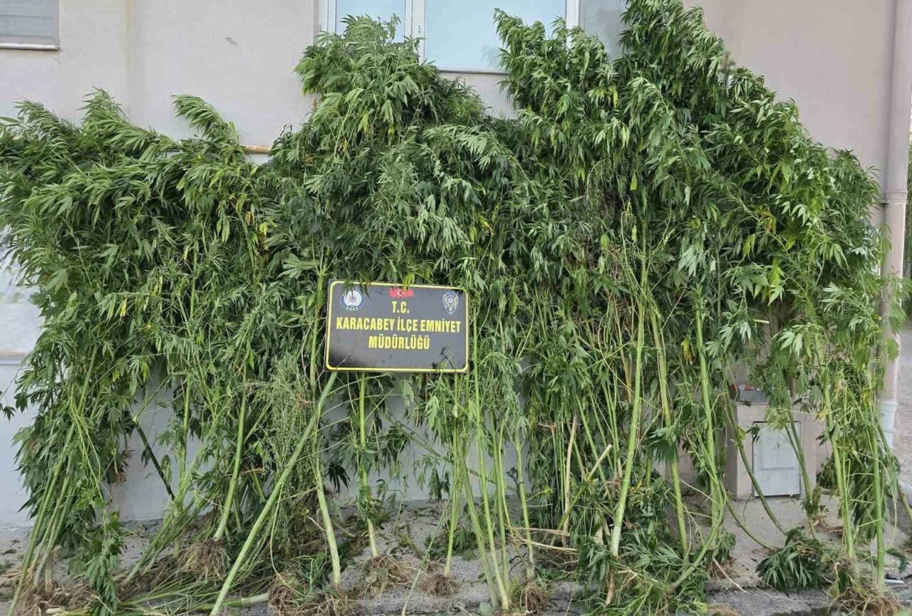BURSA'NIN KARACABEY İLÇESİNDE DÜZENLENEN UYUŞTURUCU OPERASYONUNDA GÖZALTINA ALINAN ŞÜPHELİ A.D.