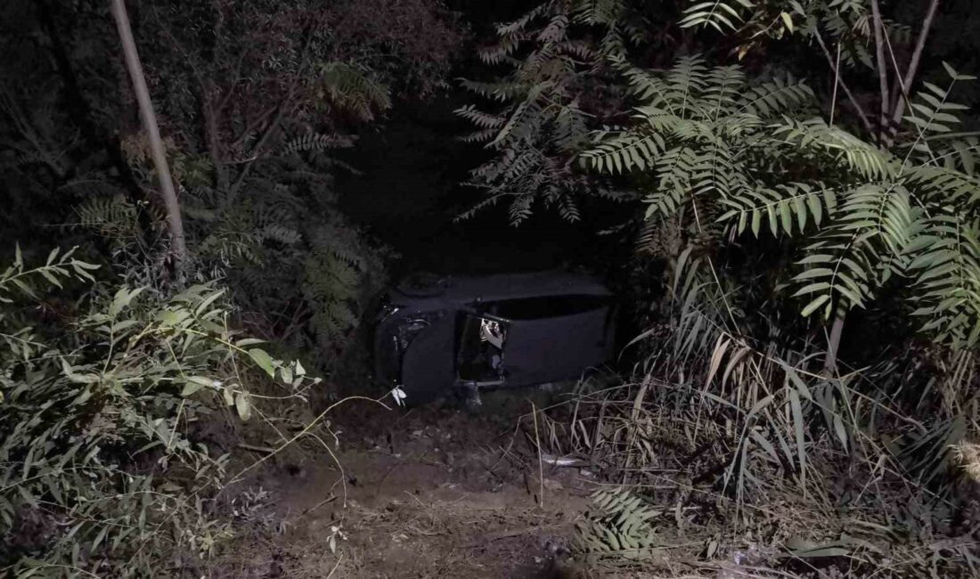 Kontrolden çıkan otomobil dereye uçtu 1 yaralı KONTROLDEN ÇIKAN OTOMOBİL DEREYE UÇTU; SÜRÜCÜSÜ YARALANDI