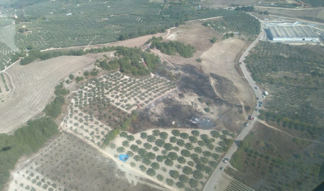 Orman yangını söndürüldü BURSA’NIN MUDANYA İLÇESİNDE OTLUK ALANDAN ORMANA SIÇRAYAN YANGIN, İTFAİYE EKİPLERİNİN