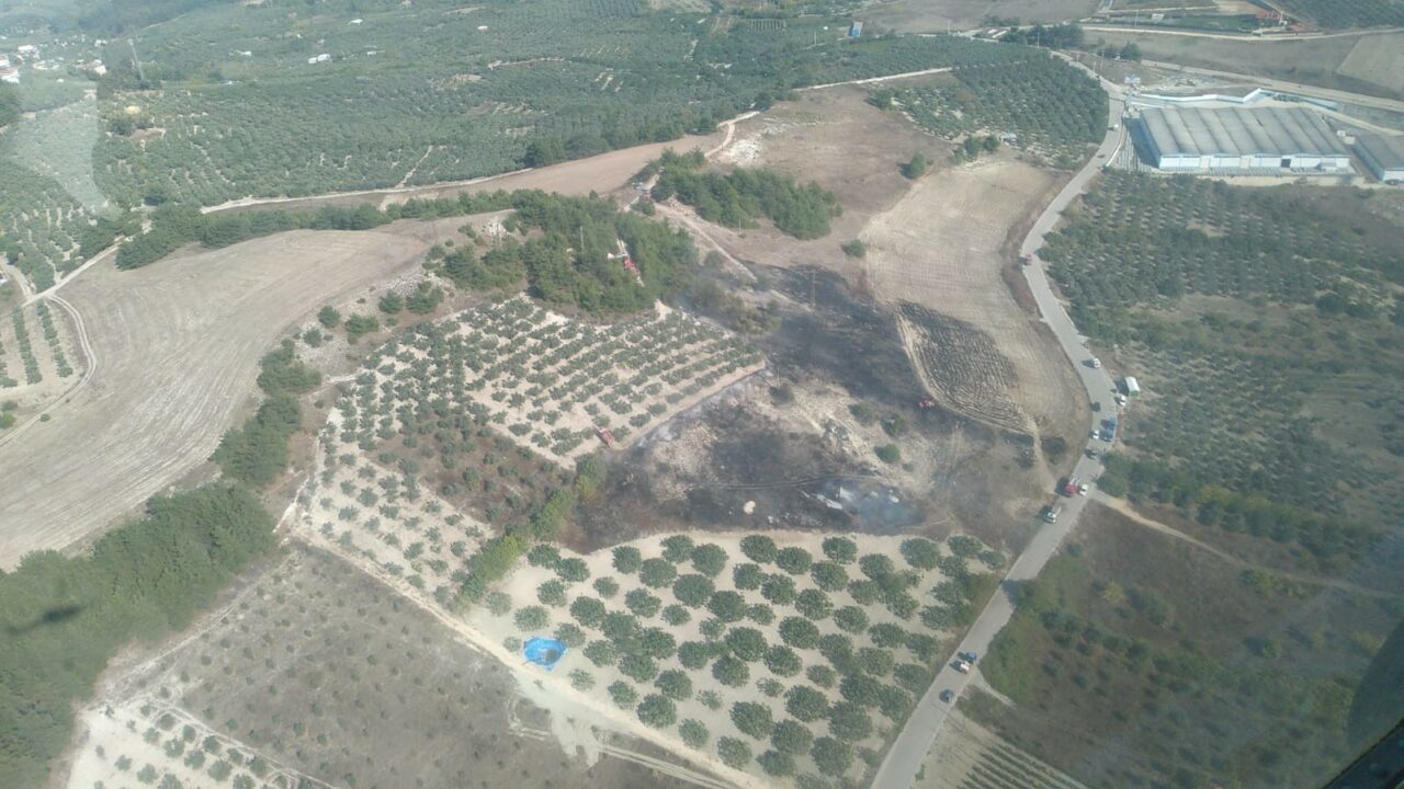 BURSA’NIN MUDANYA İLÇESİNDE OTLUK ALANDAN ORMANA SIÇRAYAN YANGIN, İTFAİYE EKİPLERİNİN