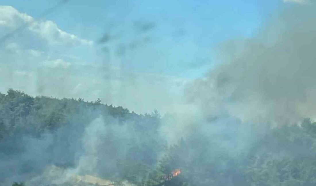 BURSA'NIN MERKEZ OSMANGAZİ İLÇESİNDE ORMANLIK ALANDA ÇIKAN YANGINA, 2 HELİKOPTER