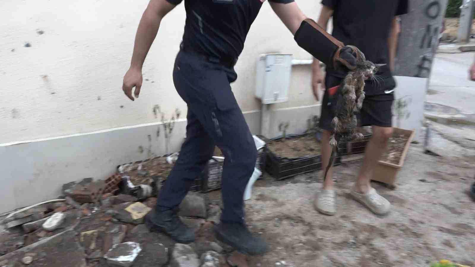 BURSA'DA GİDERİN İÇERİSİNDE SIKIŞAN KEDİ, 7 SAATLİK ÇALIŞMANIN SONUNDA KURTARILDI.