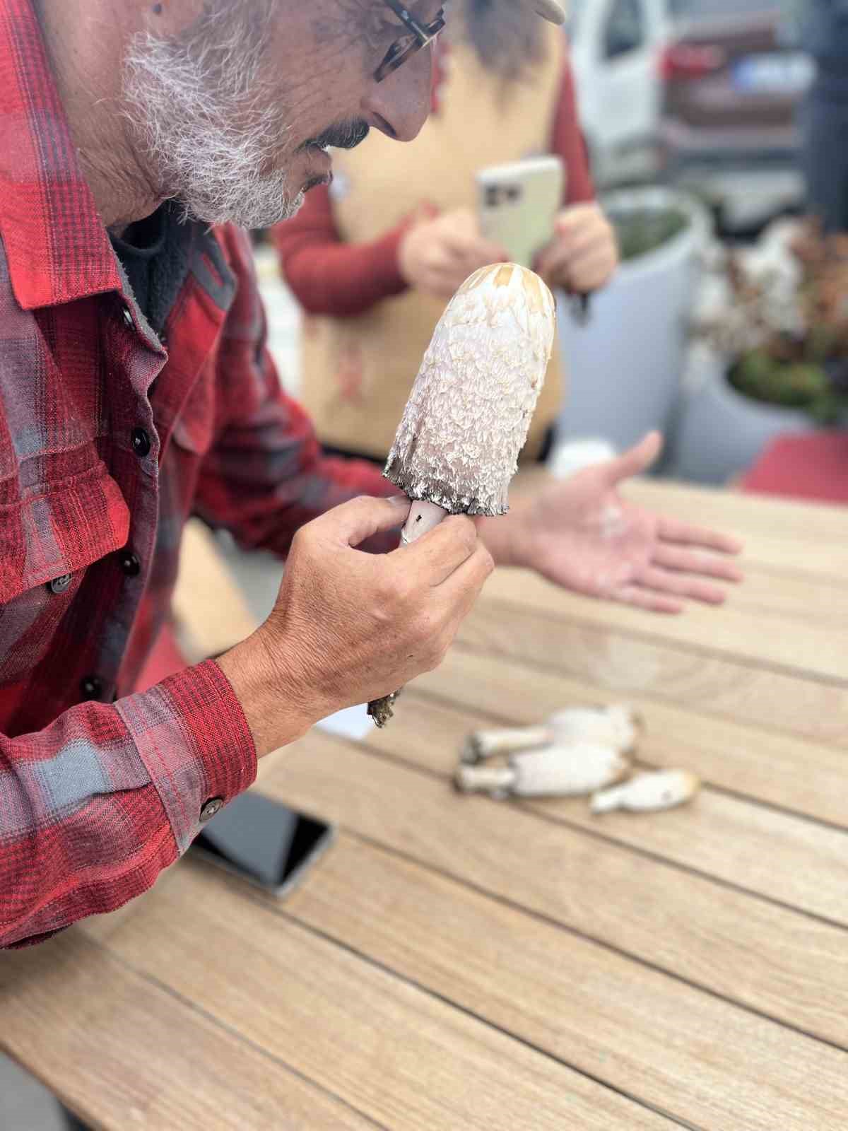 ULUDAĞ MİLLİ PARKI’NIN MUHTEŞEM ORMANLARIYLA ÇEVRİLİ KİRAZLIYAYLA’DA, DOĞANIN TAM KALBİNDE