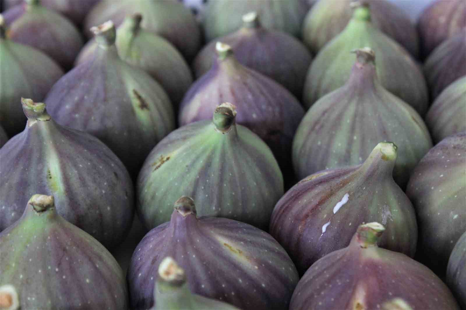 MASTERCHEF TÜRKİYE'DE, BURSA SİYAH İNCİRİ İLE YAPILAN FARKLI TATLARLA ŞEFLERİN