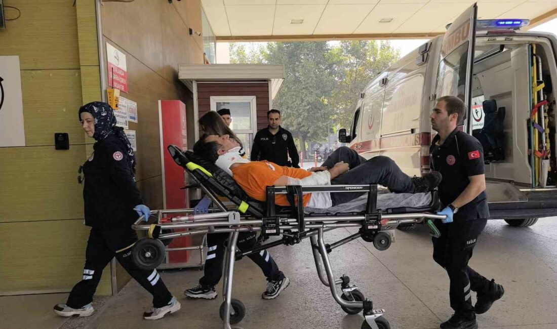 Aynı ağaçtan düşen amca ve yeğen yaralandı BURSA'NIN İNEGÖL İLÇESİNDE MEYDANA GELEN OLAYDA CEVİZ AĞACINDAN DÜŞEN AMCA