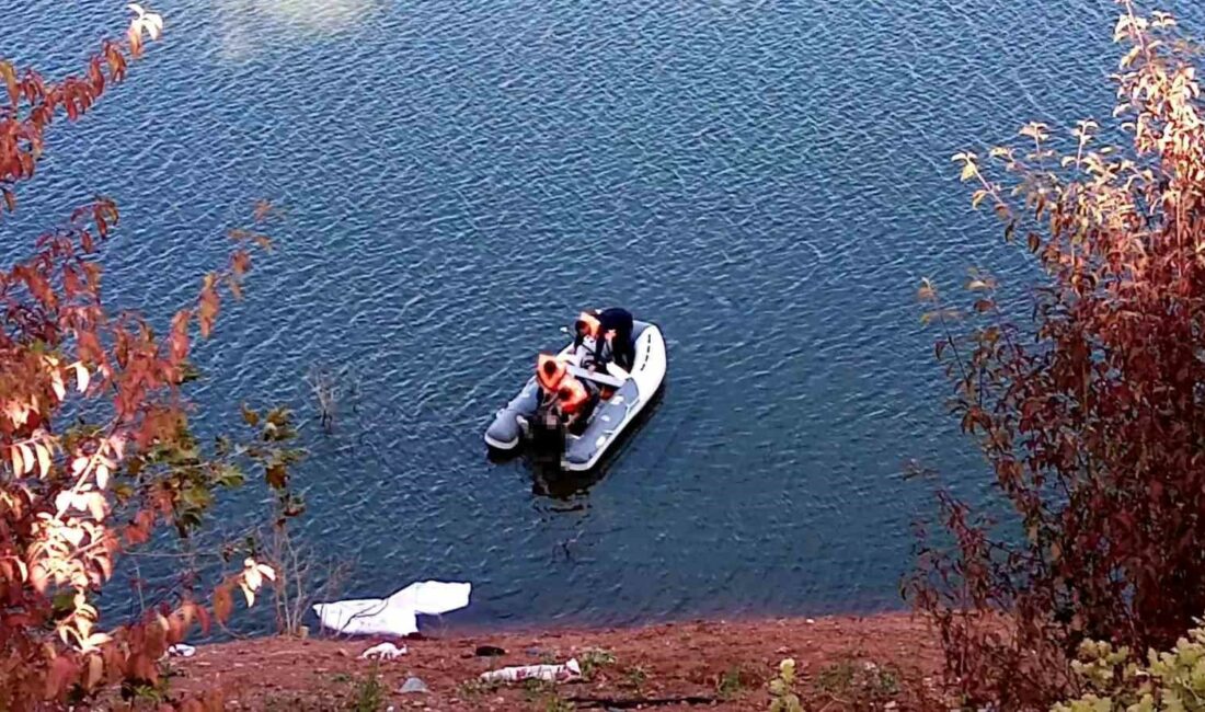 Baraja düşen otomobildeki sürücü boğuldu BURSA'NIN KESTEL İLÇESİ BABASULTAN BARAJINA DÜŞEN ARAÇTAKİ SÜRÜCÜ BOĞULARAK HAYATINI