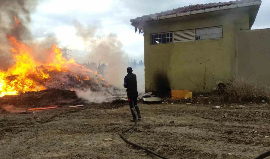 BURSA’NIN ORHANGAZİ İLÇESİNDE BELEDİYENİN MOLOZ DEPOLAMA ALANI OLARAK KULLANDIĞI BÖLGEDE
